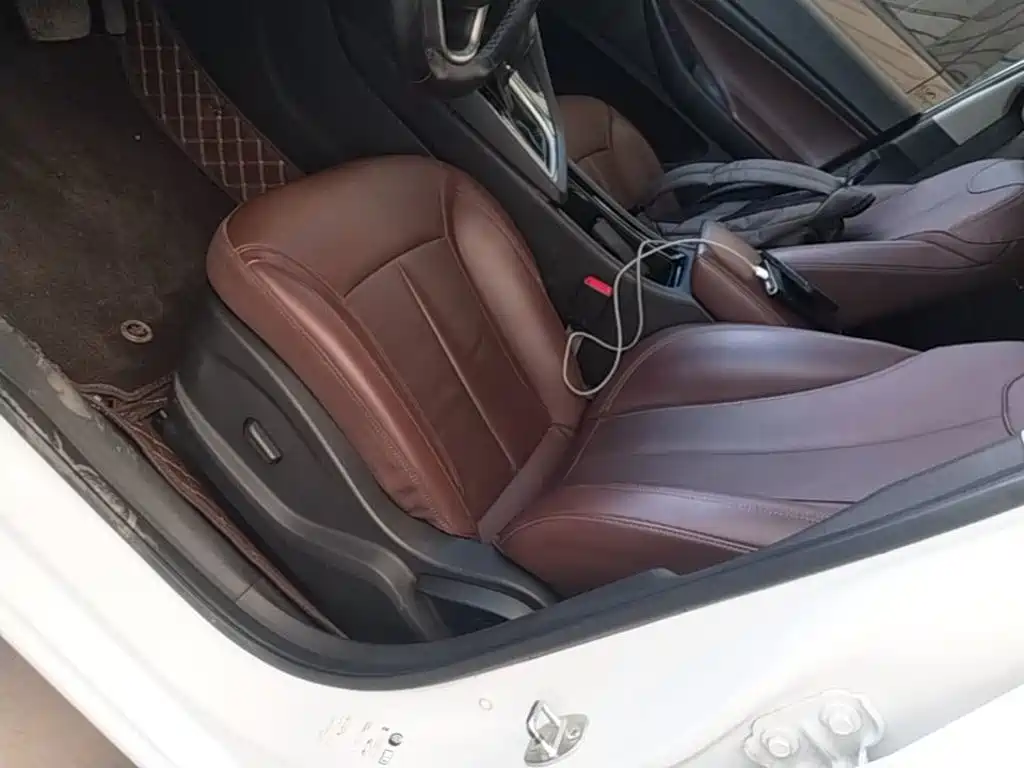 Buick GL6 — миниатюра 15