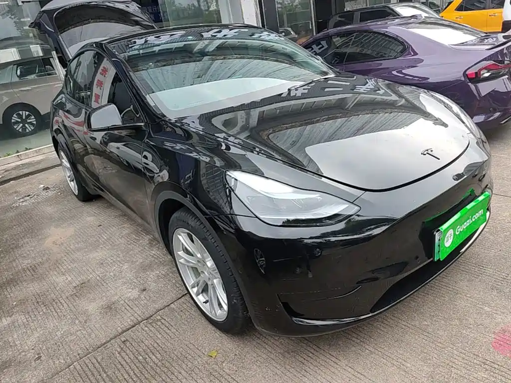 Tesla Model Y — миниатюра 4
