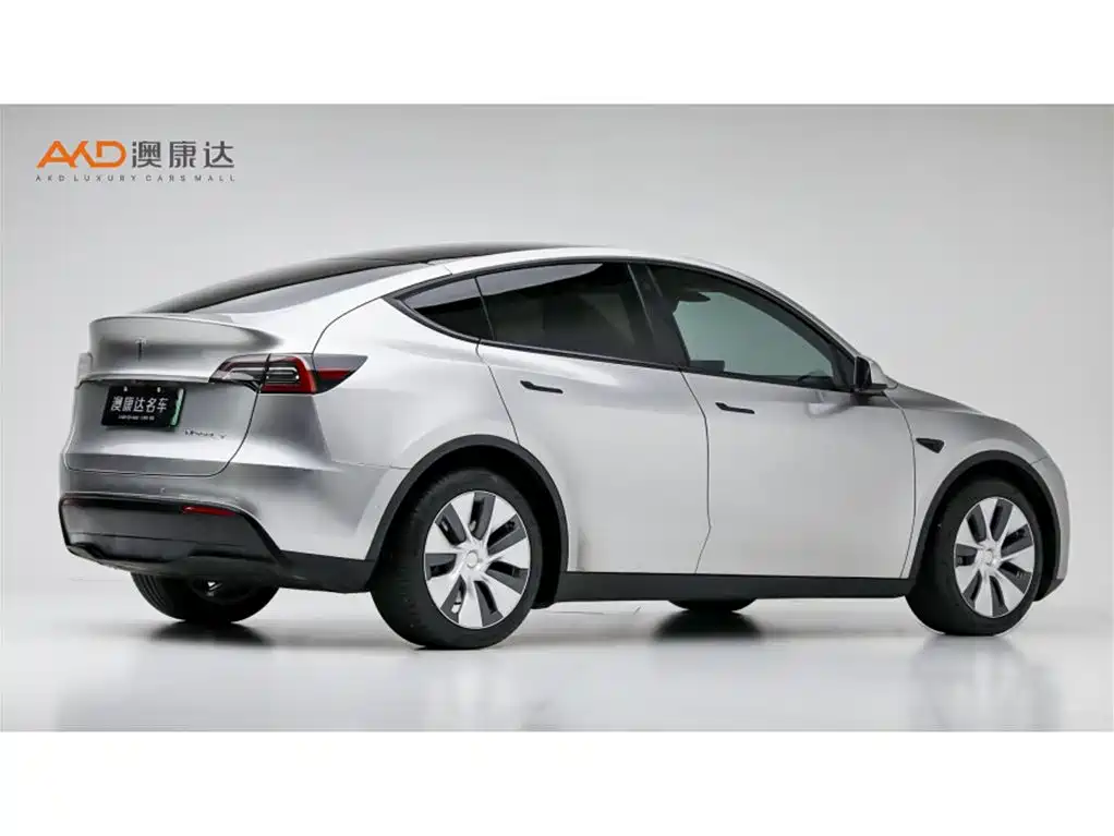 Tesla Model Y — миниатюра 3