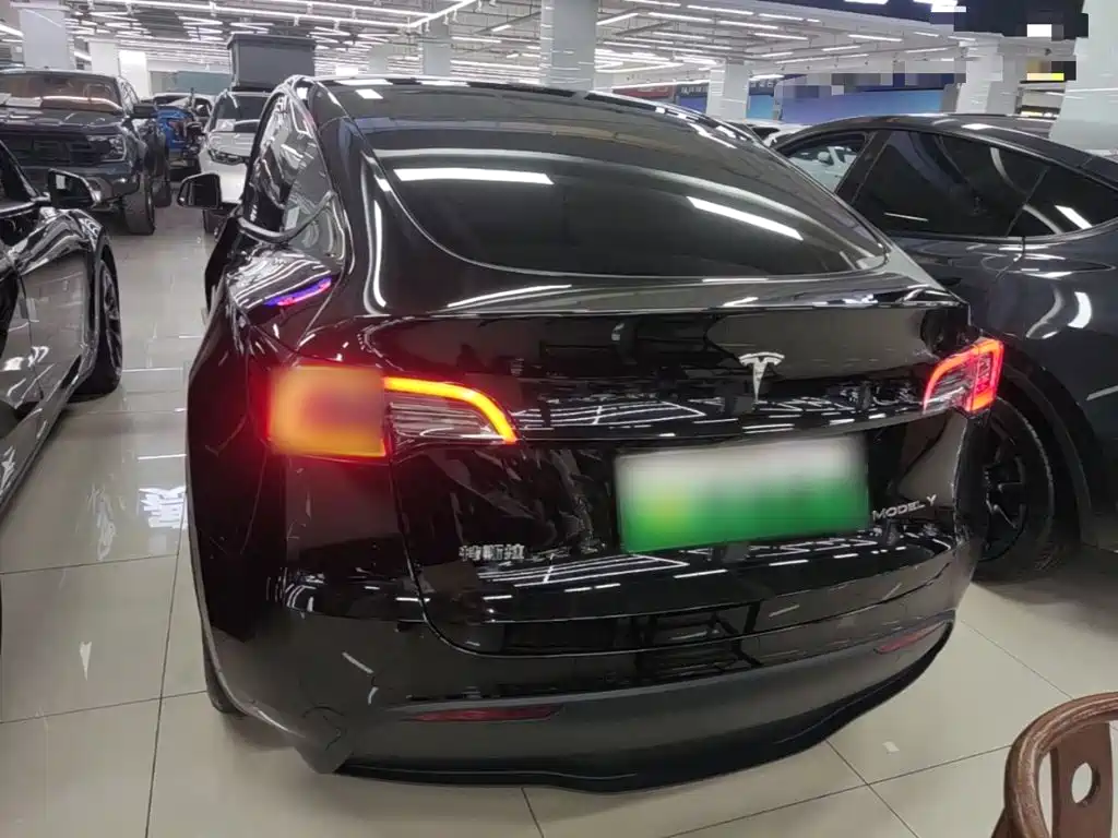 Tesla Model Y — миниатюра 6