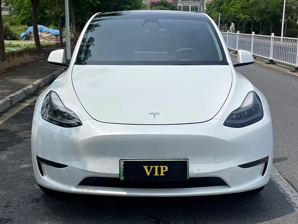 Tesla Model Y — миниатюра 2