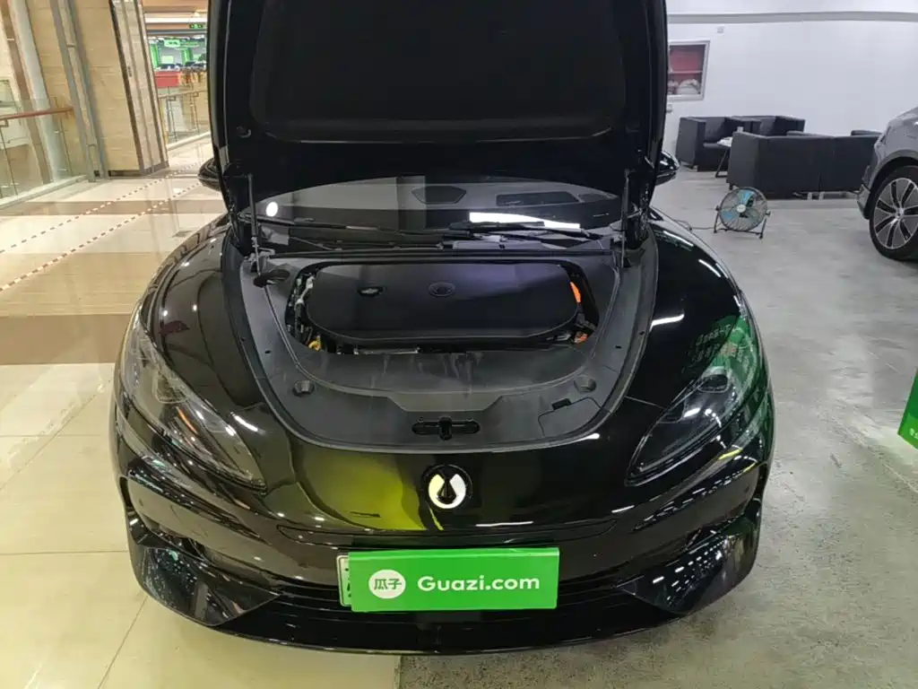 Denza Denza Z9GT — миниатюра 20