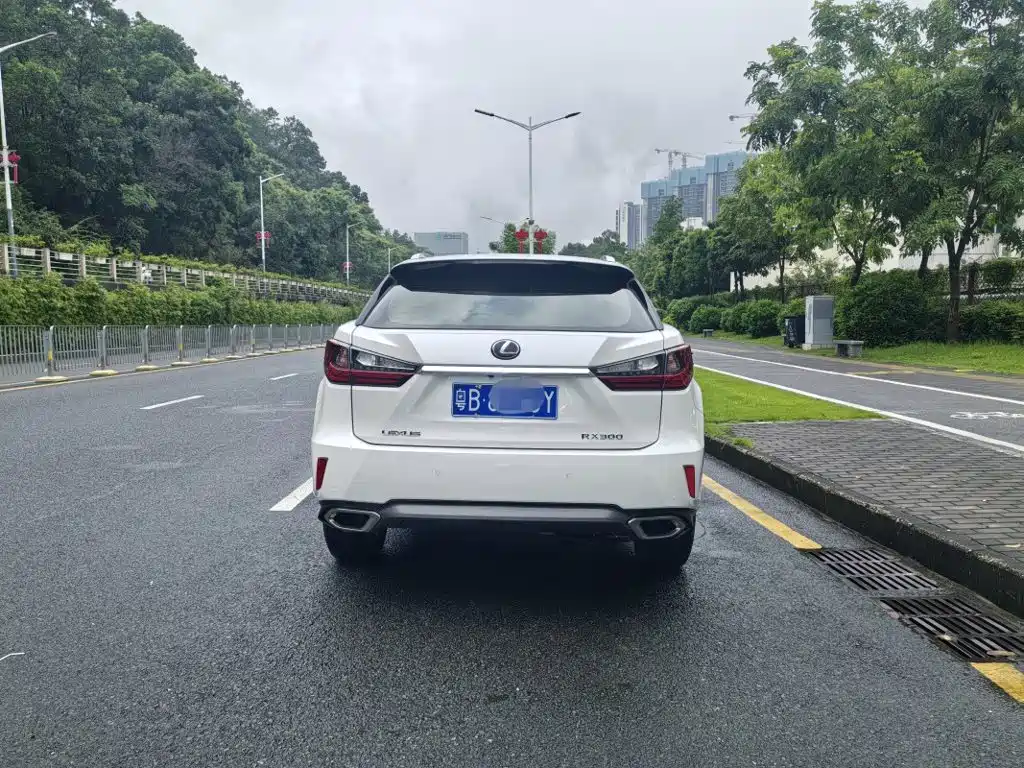 Lexus RX — миниатюра 5
