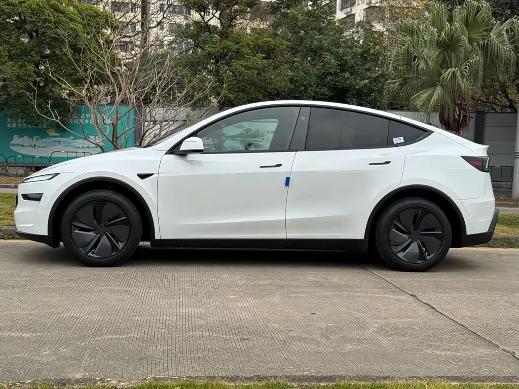 Tesla Model Y — фотографии объявления, Фото 12
