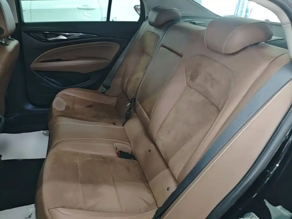 Buick Regal — миниатюра 17