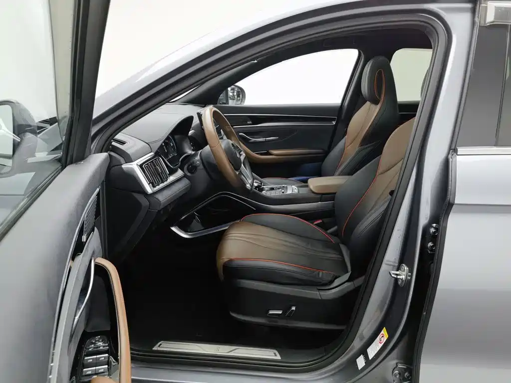 BYD PLUS — миниатюра 10
