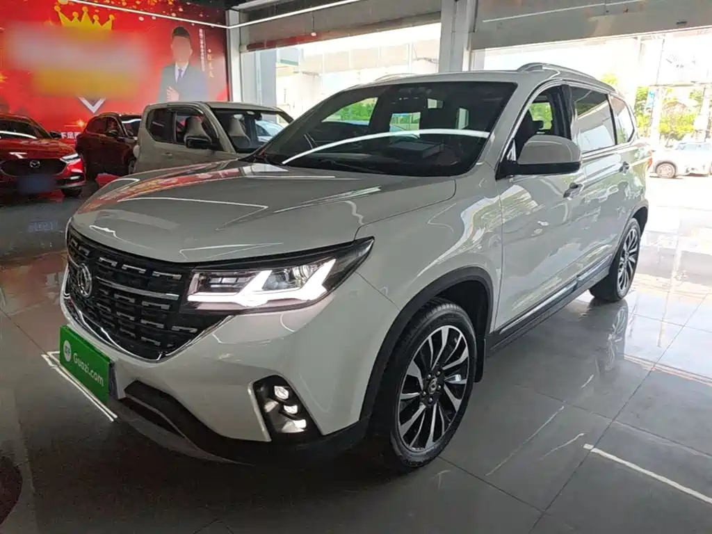 Fengxing Fengxing T5 2019