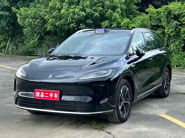 2025 Singulato