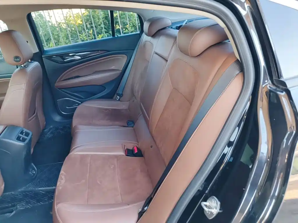 Buick Regal — миниатюра 17