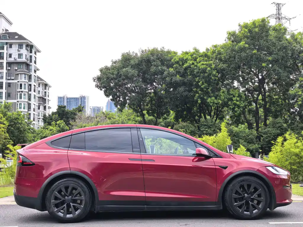 Tesla Model X — миниатюра 4