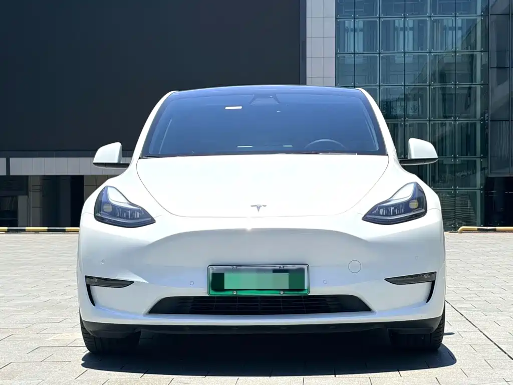 Tesla Model Y 2021 Performance