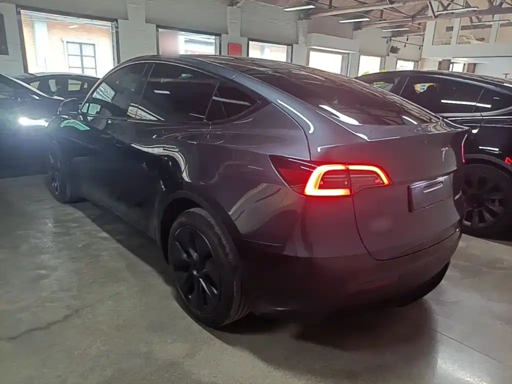 Tesla Model Y — миниатюра 5