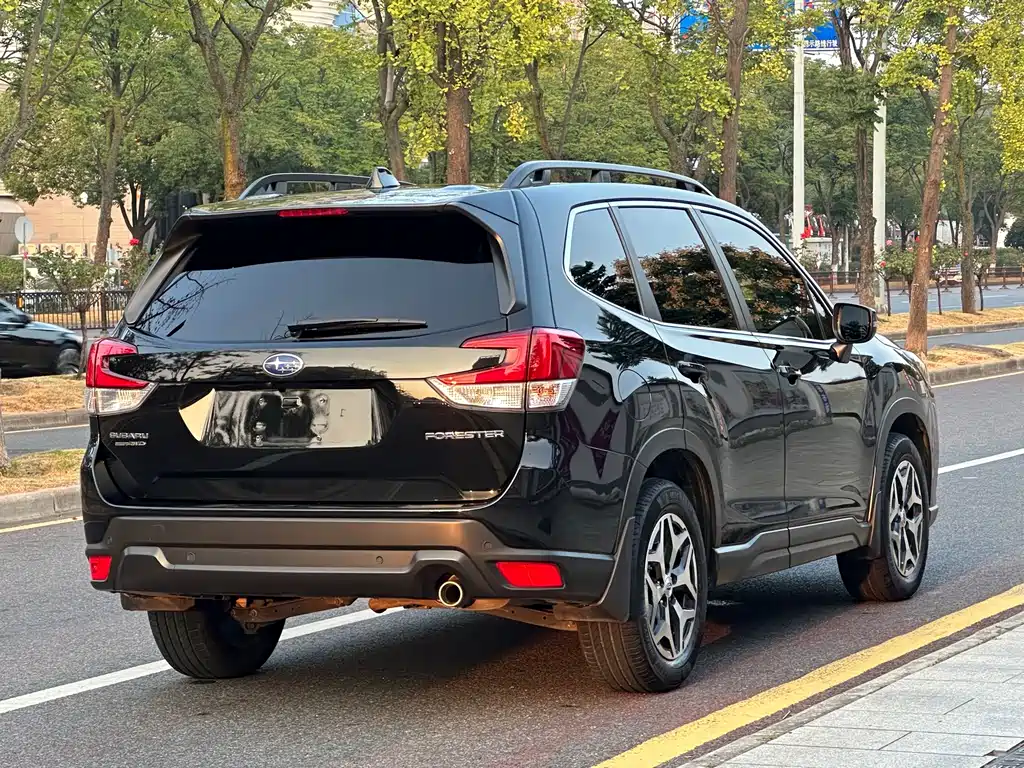 Subaru Forester — миниатюра 11