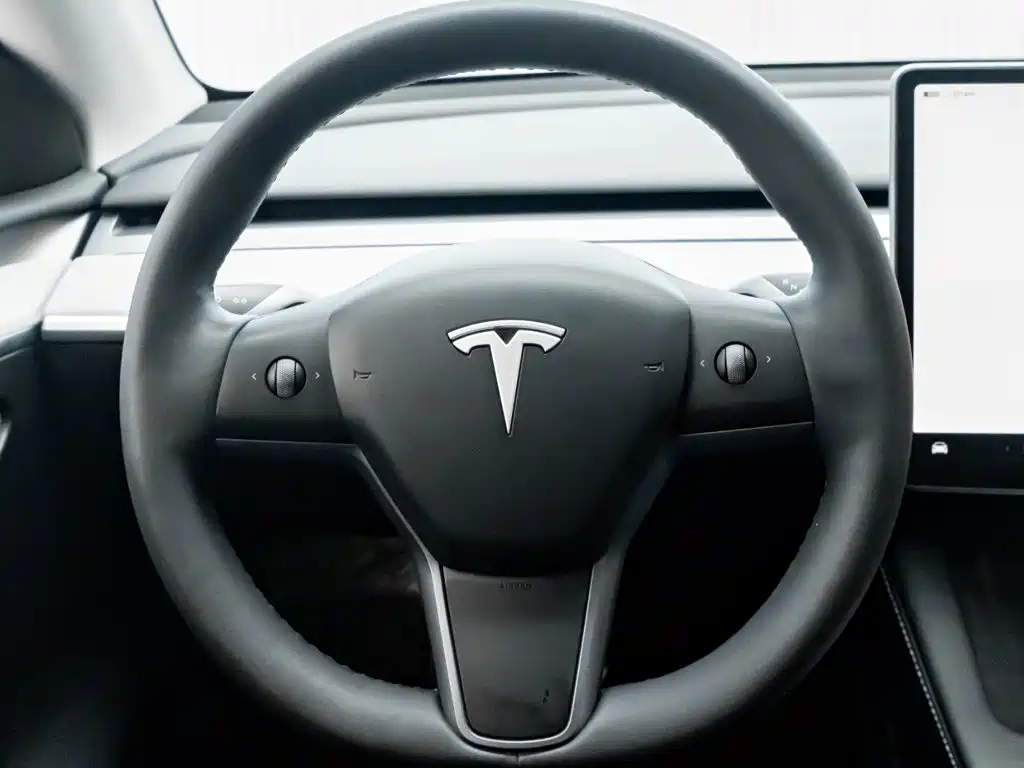 Tesla Model Y — миниатюра 14