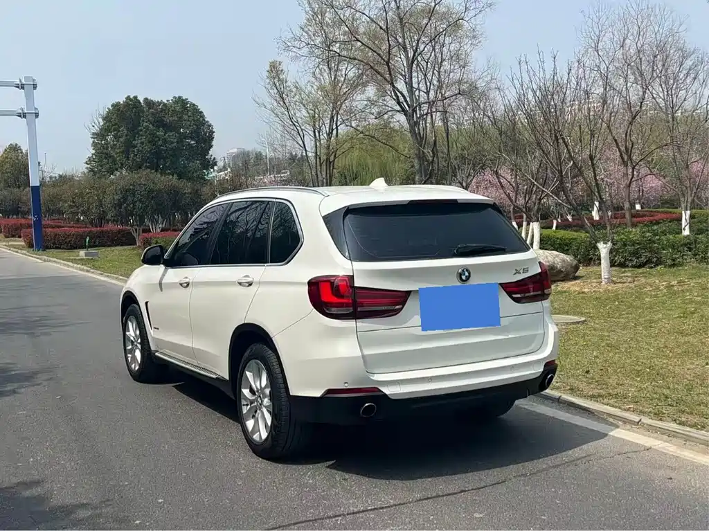 BMW X5 (Import) — миниатюра 7