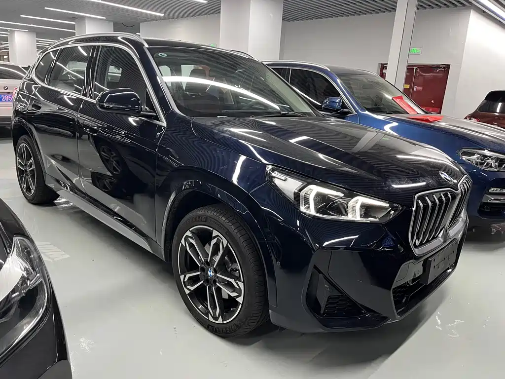 BMW X1 — миниатюра 2