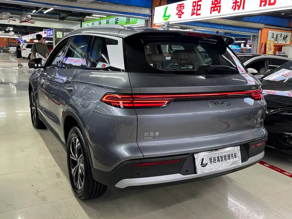 BYD Pro New Energy - фото 4
