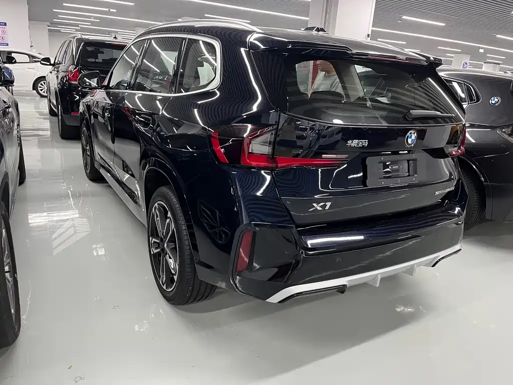 BMW X1 — миниатюра 9