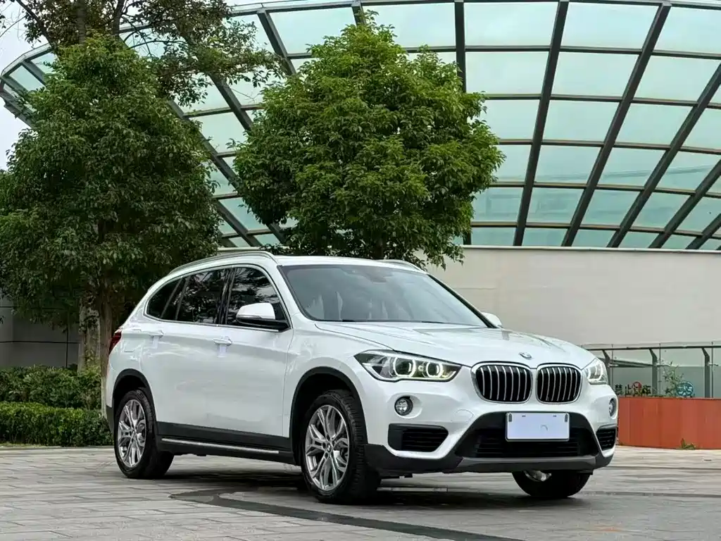 BMW X1 — миниатюра 3