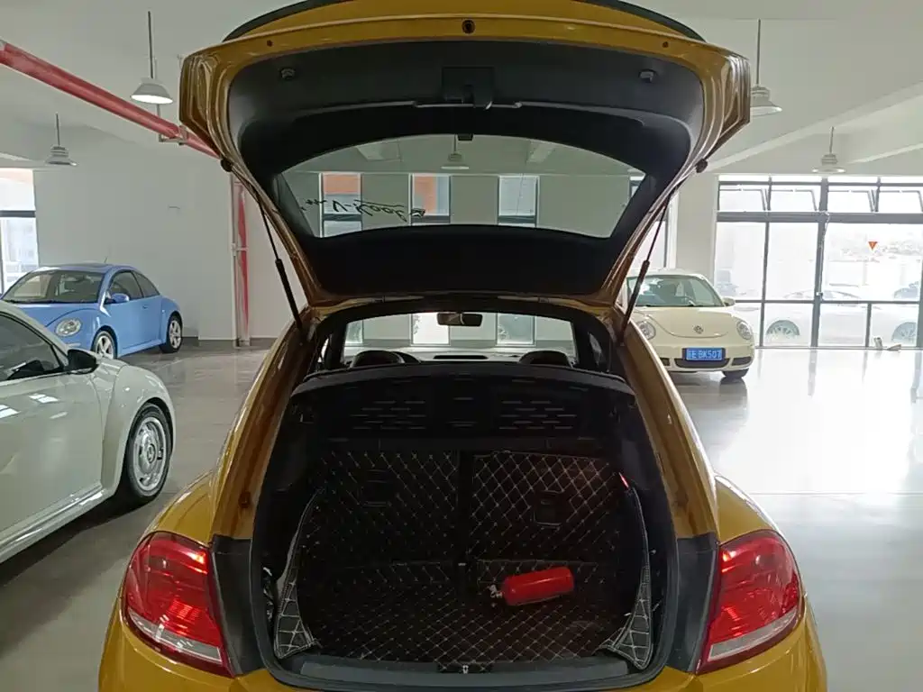 Volkswagen Beetle — миниатюра 19
