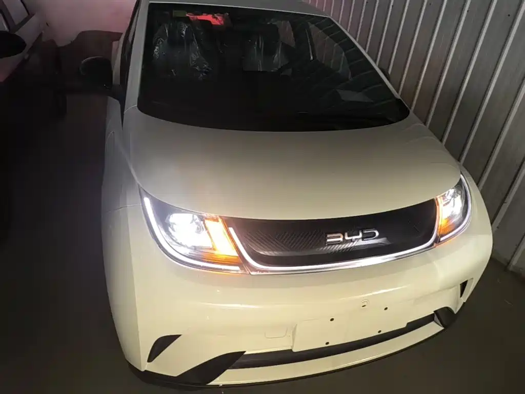 BYD Dolphin 2025 420km Freedom