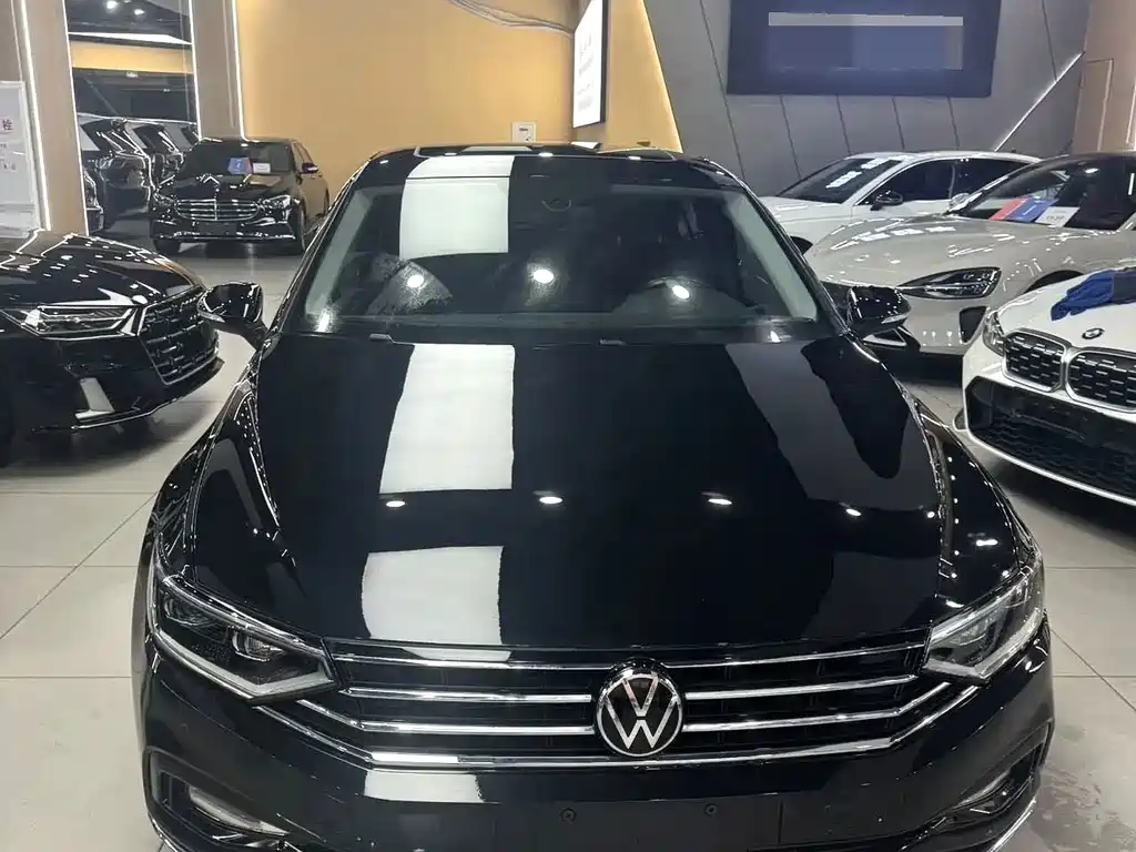 Volkswagen Magotan — миниатюра 2