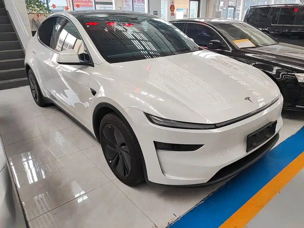 Tesla Model Y — миниатюра 4