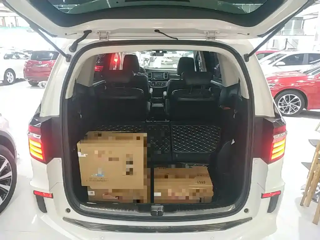 Honda Elysion — миниатюра 19
