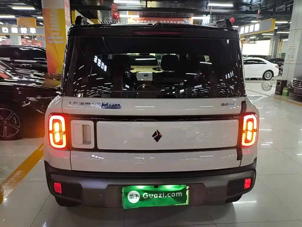 Baojun YepPlus Plus 2026 301km Flagship