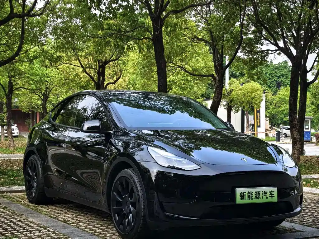 Tesla Model Y — миниатюра 5