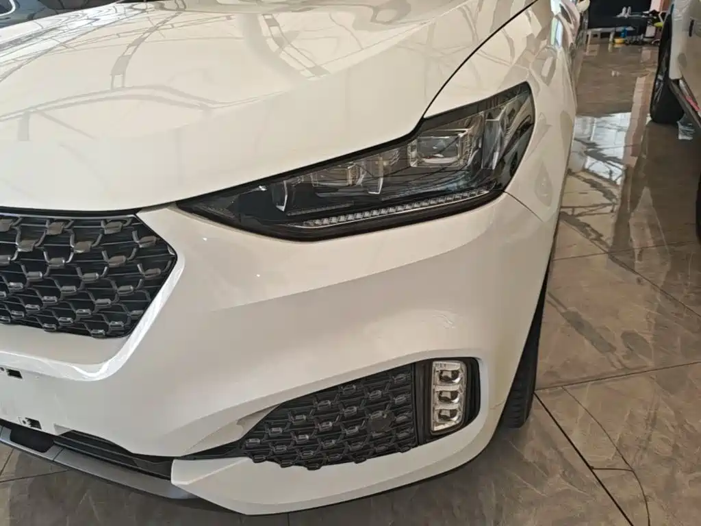 Wey Wey VV6 — миниатюра 24