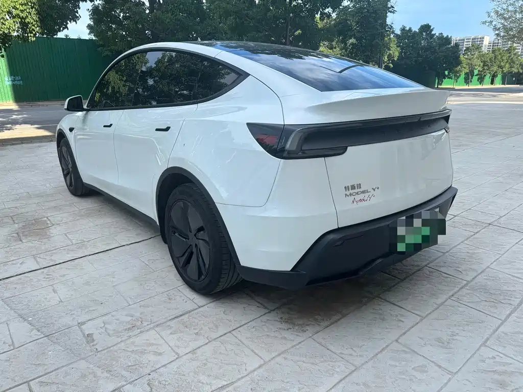 Tesla Model Y — миниатюра 7