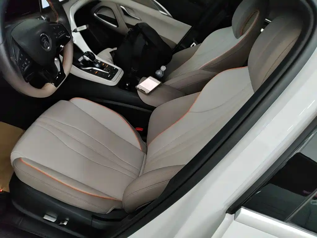 BYD Pro New Energy — миниатюра 15