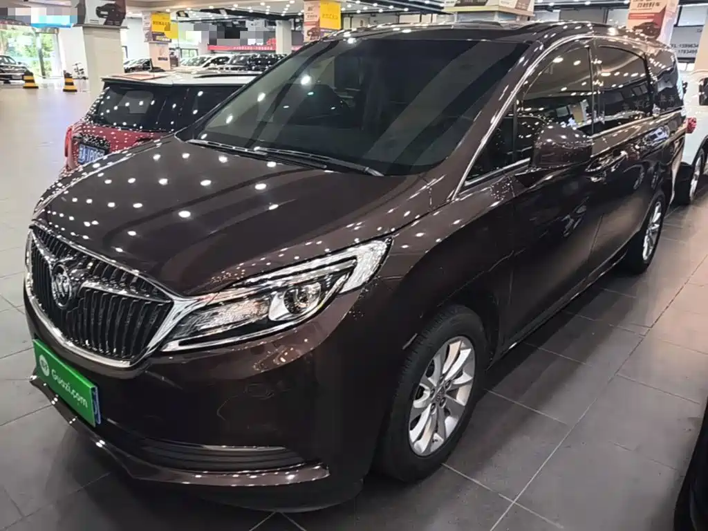 Buick GL8 — миниатюра 2