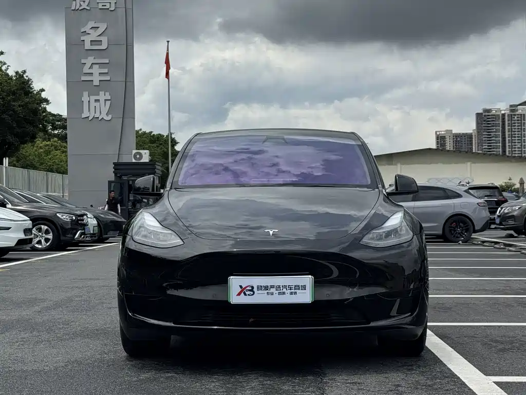 Tesla Model Y — миниатюра 3