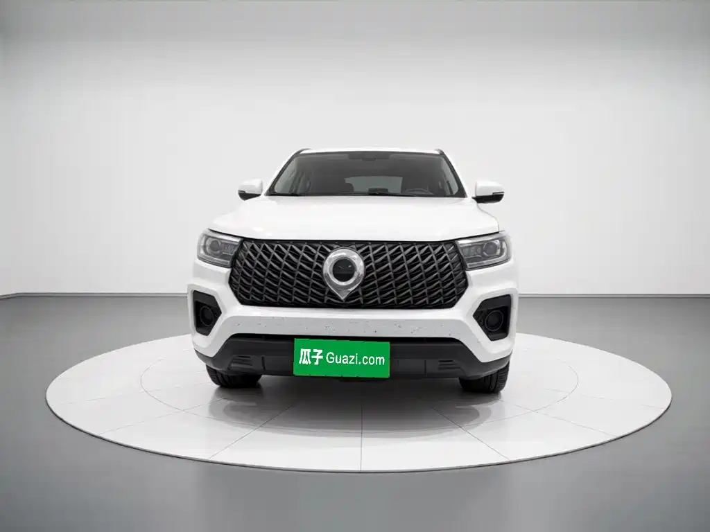 Great Wall Pao — миниатюра 2