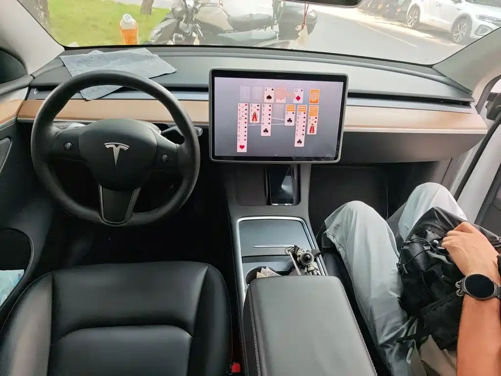 Tesla Model Y — миниатюра 10