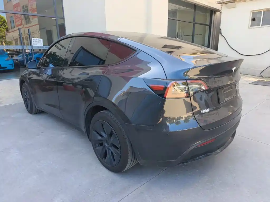 Tesla Model Y — миниатюра 5
