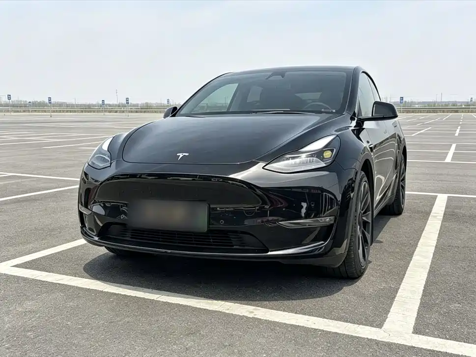 Tesla Model Y — миниатюра 2