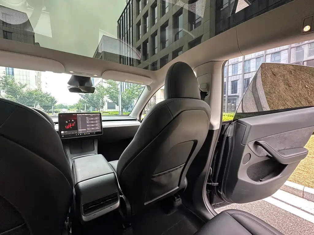 Tesla Model Y — миниатюра 18