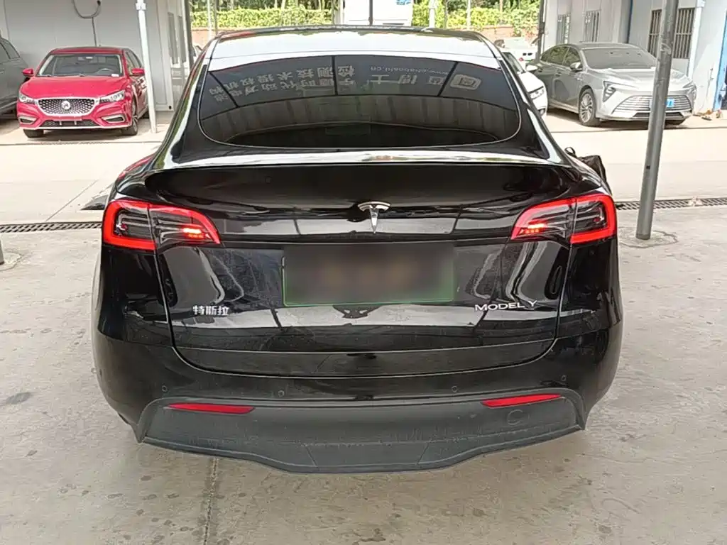 Tesla Model Y — миниатюра 6