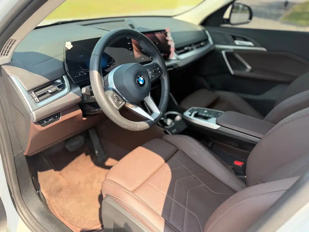 BMW X2 (Import) — миниатюра 9