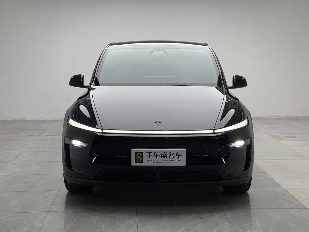 Tesla Model Y — миниатюра 2