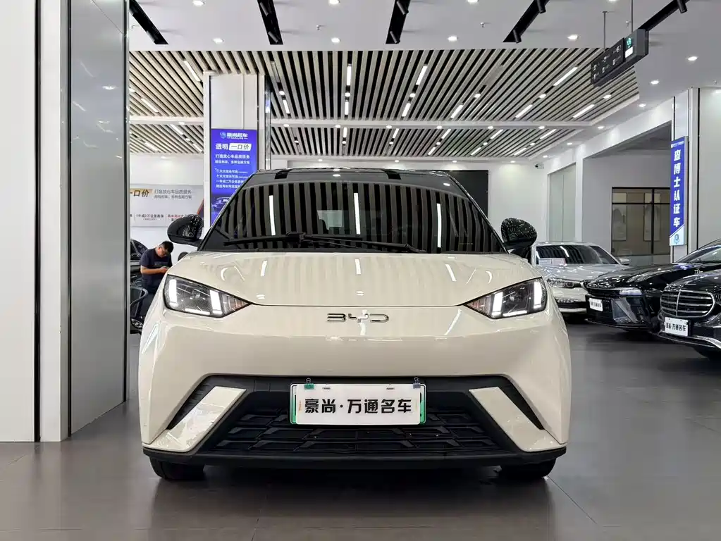 BYD Seagull 2025 305km Freedom
