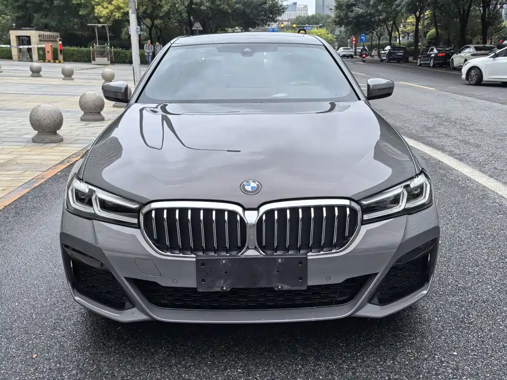 BMW 5 Series (Import) — миниатюра 7