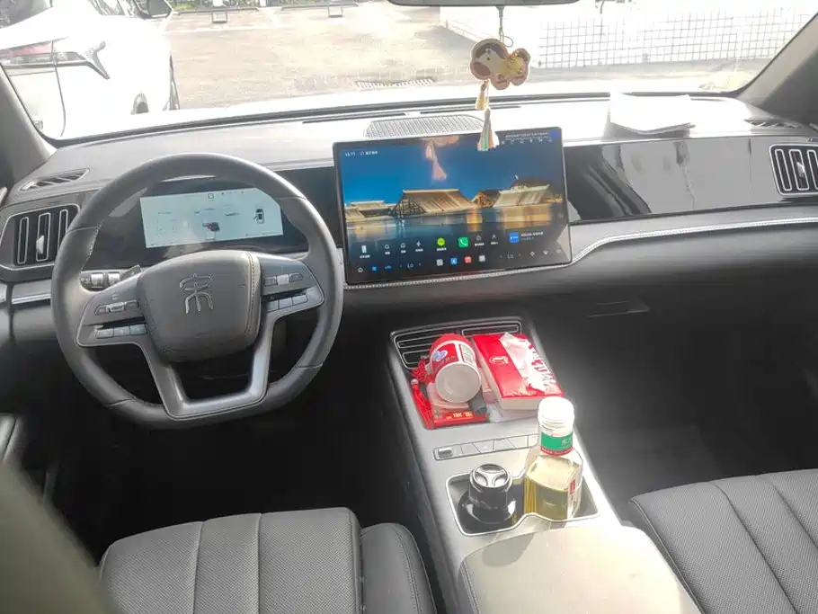 BYD Pro New Energy — миниатюра 12