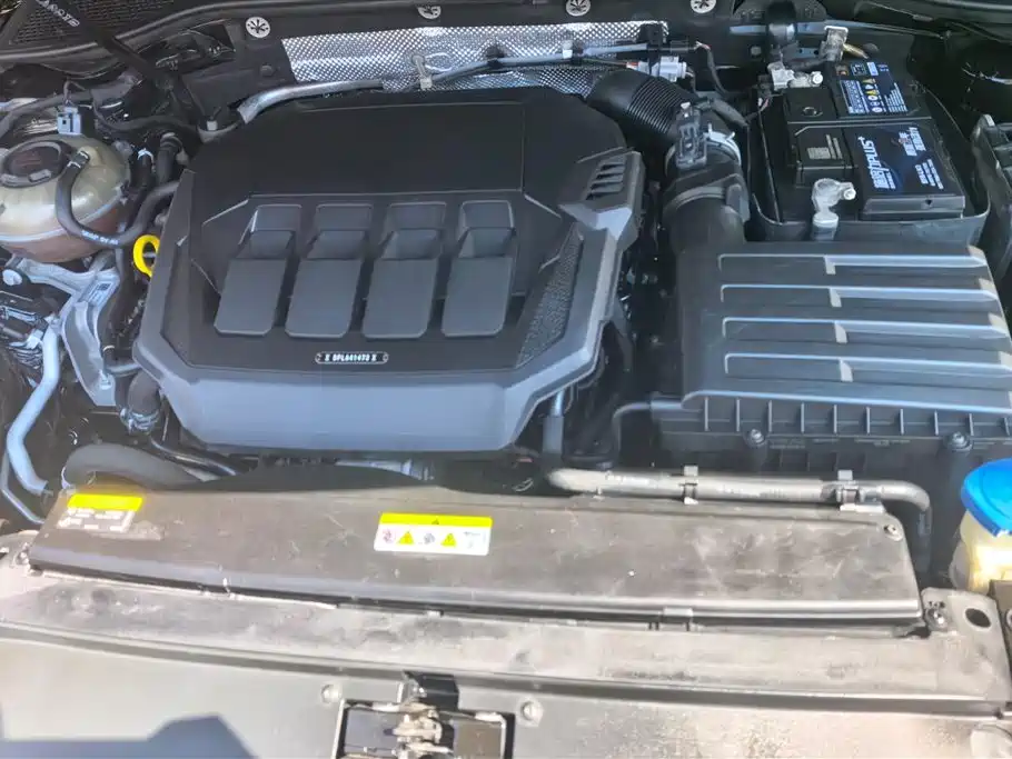 Volkswagen Magotan 2020 330TSI DSG Luxury
