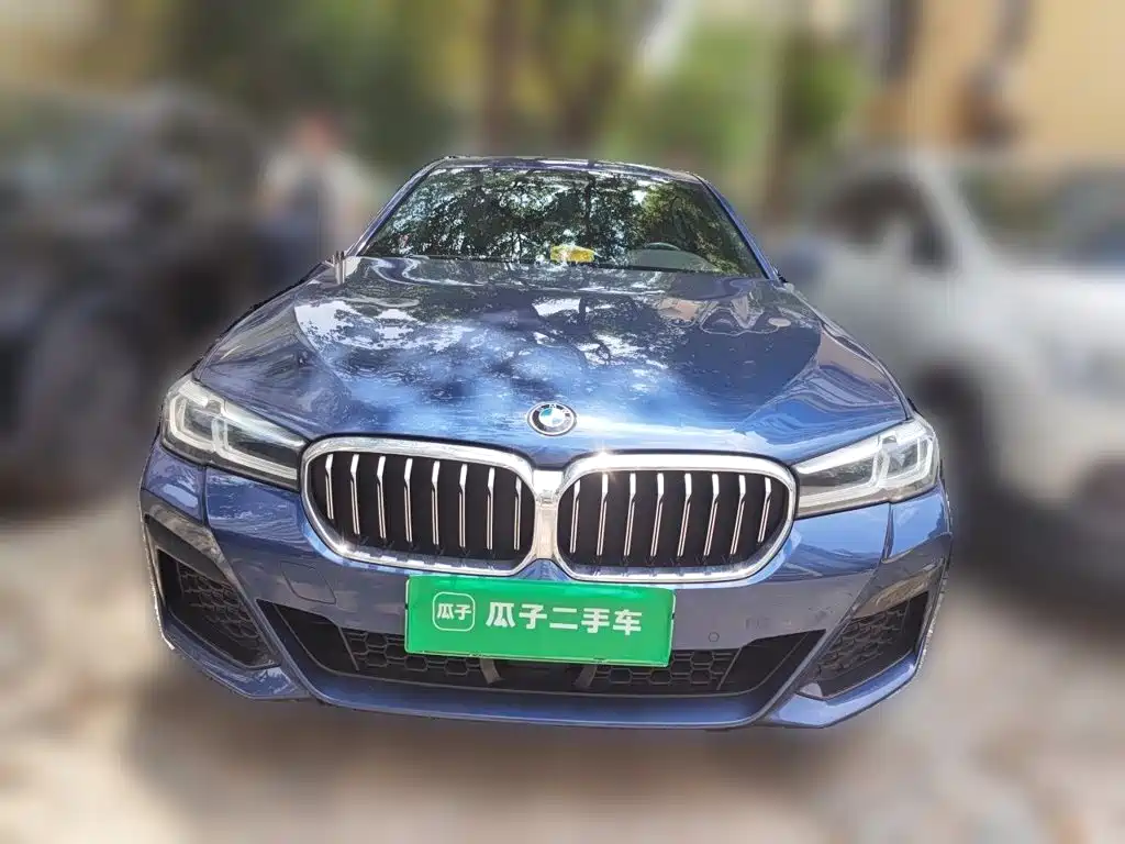 BMW 5 Series New Energy — миниатюра 2