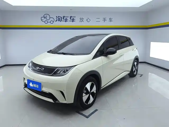 BYD Dolphin