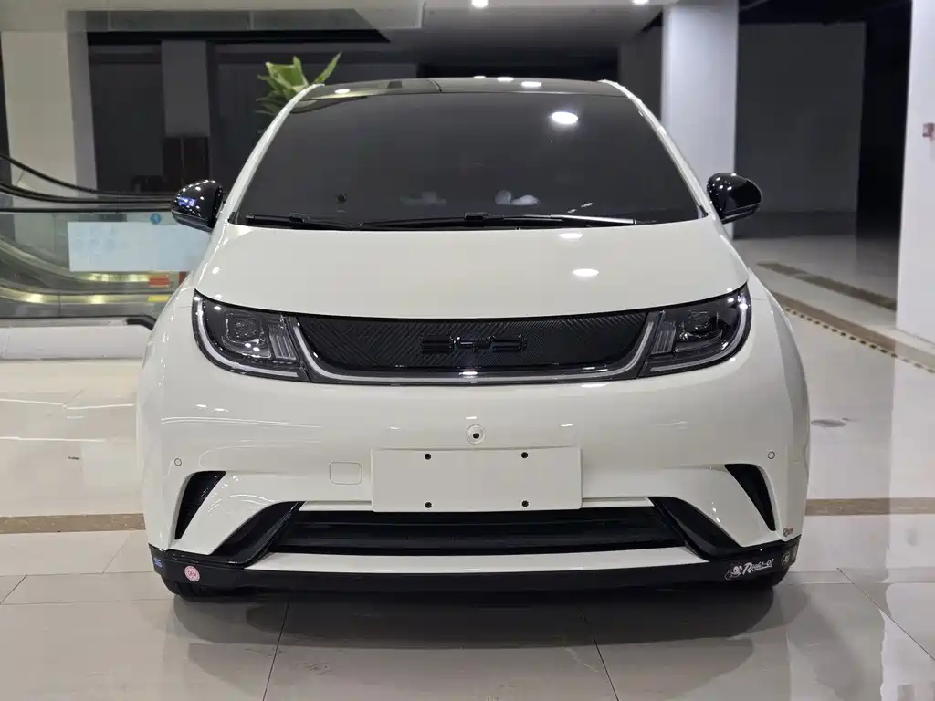 BYD Dolphin — миниатюра 2